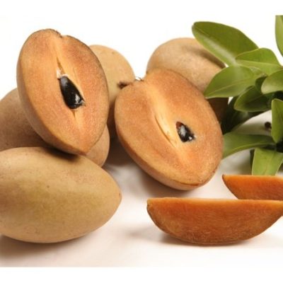 Sapodilla - Alano
