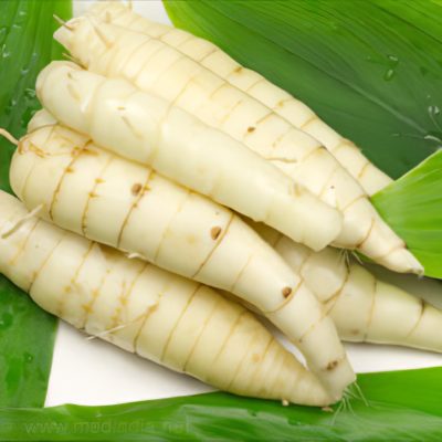 Arrowroot