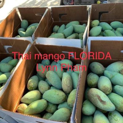 Mango, Thai