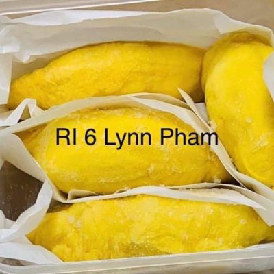 Durian, Ri6, Pulp