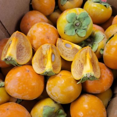 Persimmon, Chocolate