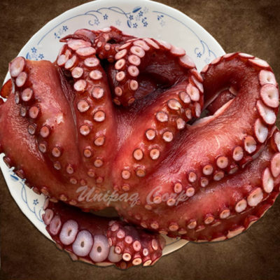Octopus, Hokkaido Japan