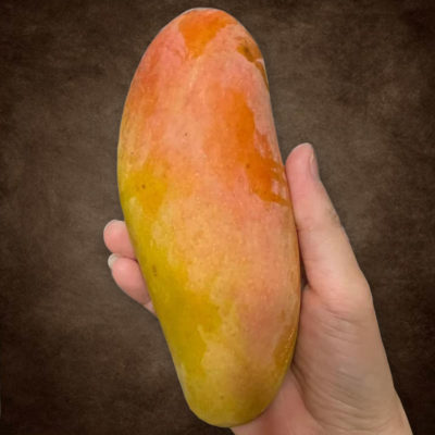 Mango, Mahachanok